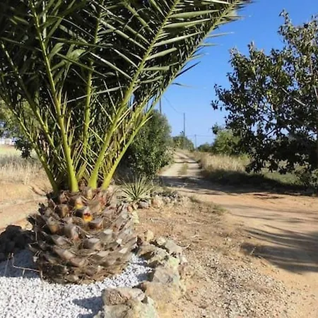 Pedra De Ecorregar * 培拉